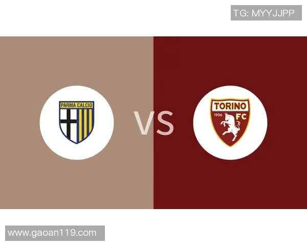 2019年弗洛西诺内与帕尔马精彩对决回顾与分析