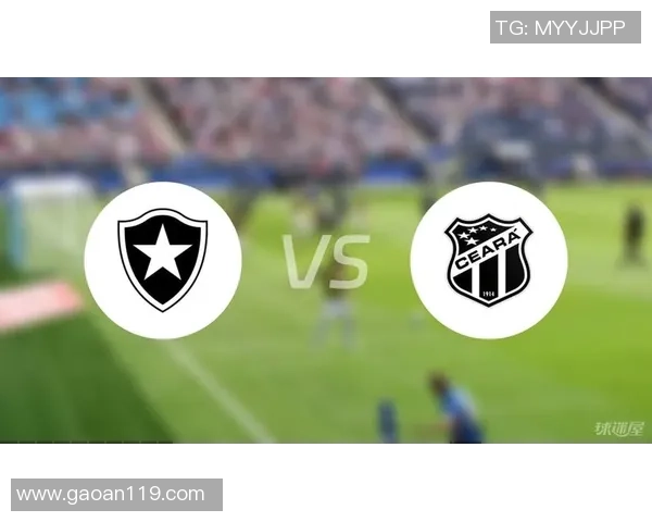 巴甲激战塞阿拉对决博塔弗戈争夺积分榜重要位置